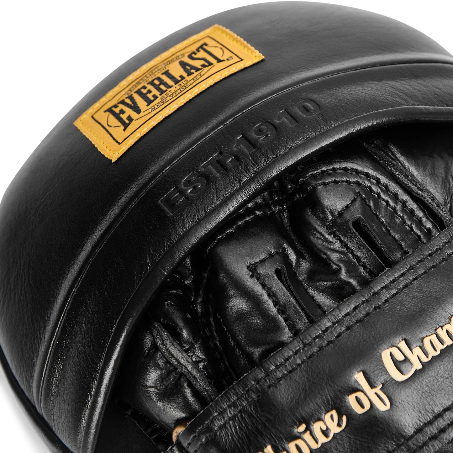 1910 Pro Leather Speed Focus Mitts