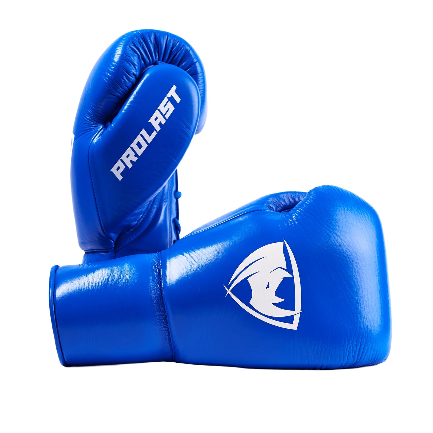 Prolast PG Professional Boxing Gloves Velcro